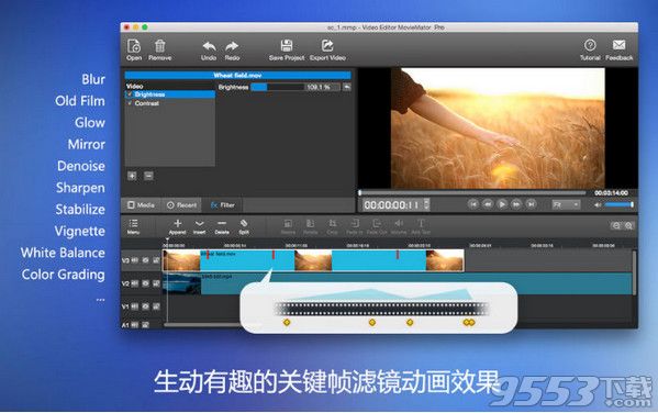 视频编辑大师Mac专业版