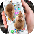 手机屏幕养蛇兔子app安卓版