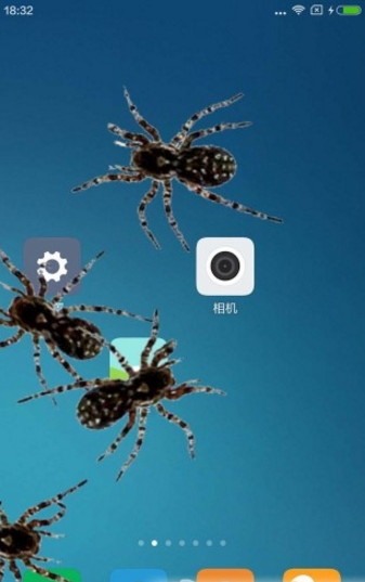 手机屏幕养蜘蛛软件截图2