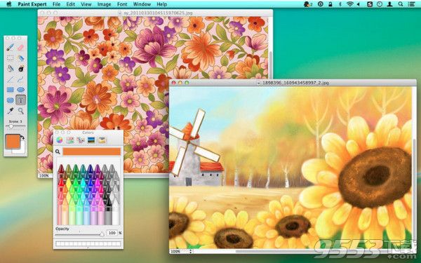 Paint Expert 2 Mac破解版