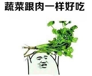 年纪大了才发现这些都是真的表情包