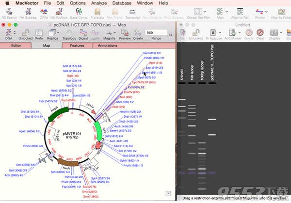 MacVector 16 Mac破解版