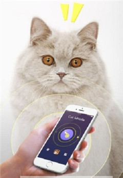 逗猫神器1.8手机版下载-逗猫神器app最新版下载v1.8图2