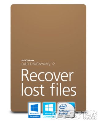 O&O DiskRecovery 12 电脑版