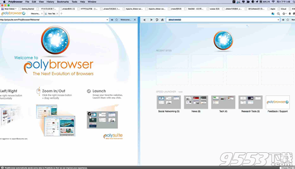 PolyBrowser Mac版