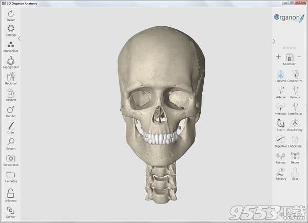 3d人体解剖软件3dbody6.0简体中文正式版