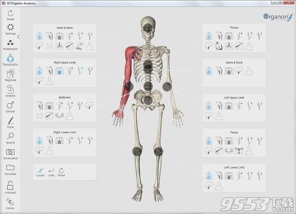 3d人体解剖软件3dbody6.0简体中文正式版