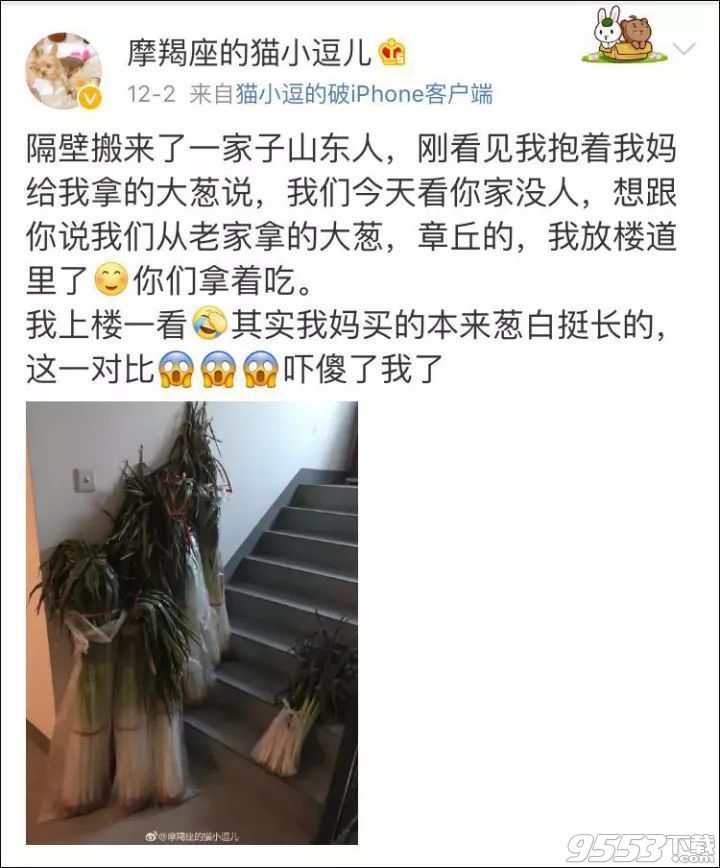 你还没我家葱高表情包