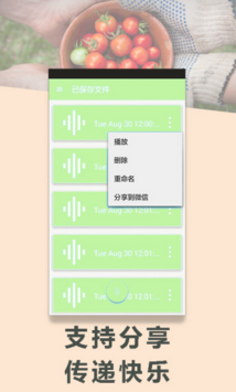 宅男吃鸡变声器APP安卓正式版截图2