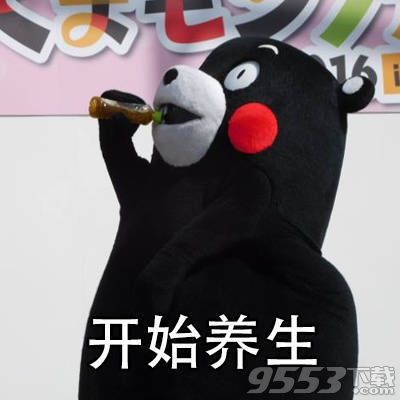 中年少女的特征熊本熊表情包