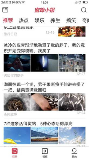 蜜蜂小报app官方正式版截图4