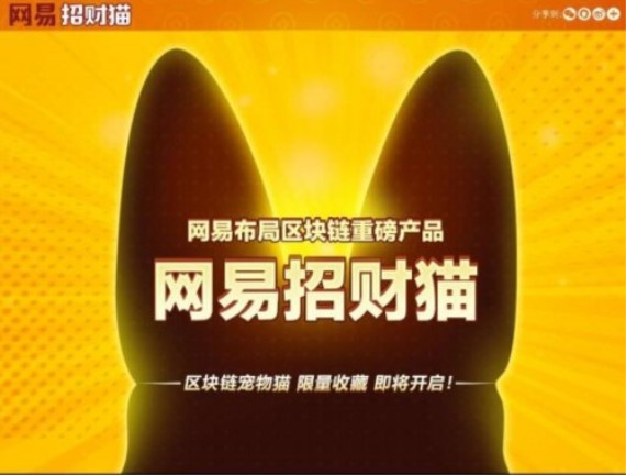 网易招财猫app最新版