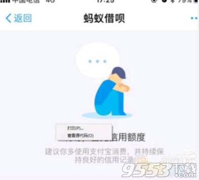 支付宝蚂蚁借呗关闭了吗 蚂蚁金服为什么被关闭蚂蚁借呗