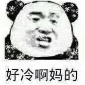 下雪了我好冷表情包大全