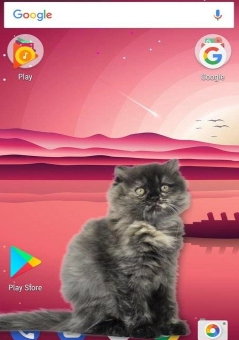 可爱猫动态屏幕app截图3