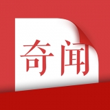 今日奇闻app官方最新版