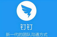 钉钉app2022下载合集