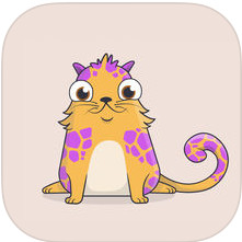 以太猫app