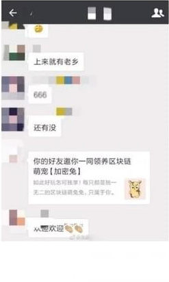 加密兔官方苹果版截图2