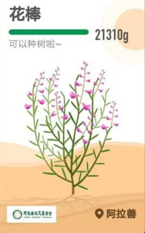 支付宝蚂蚁森林花棒是什么 蚂蚁花棒怎么获得