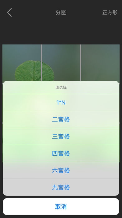 分图ios版手机客户端下载-分图app苹果版下载v1.1.4图1