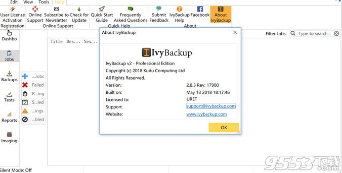 IvyBackup pro