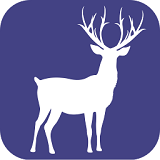 迷鹿旅行app官方版