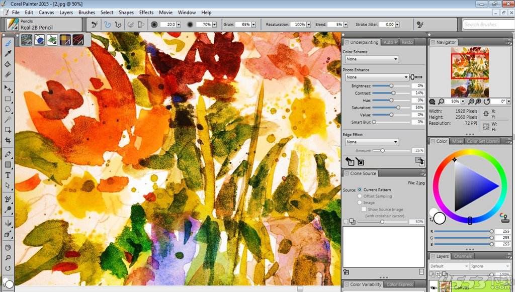 corel painter 2015 简体中文破解版