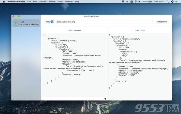 WebSocket Client Mac版
