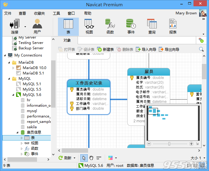 Navicat Premium12.0.29 中文绿色破解版