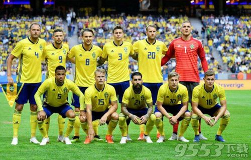 韩国对瑞典比分预测