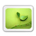易窗OEM信息设置软件 v1.0绿色版 