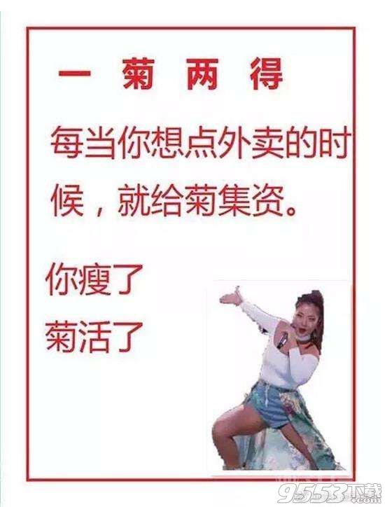 菊外人表情包