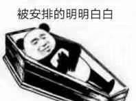 被安排得明明白白表情包