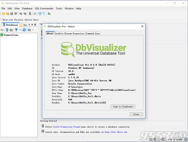 DbVisualizer Pro 64位破解绿色版