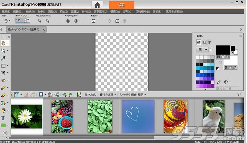 Corel Paintshop Pro 2019破解版(附破解补丁)