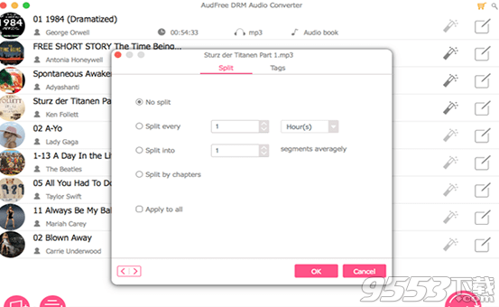 AudFree DRM Audio Mac版