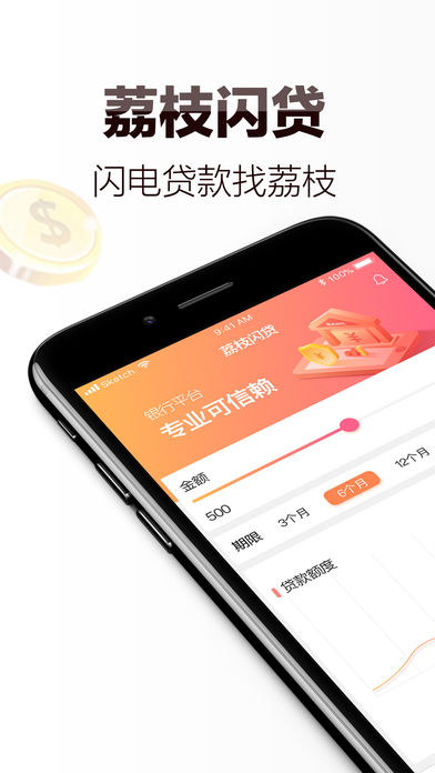 荔枝闪贷app安卓版截图4