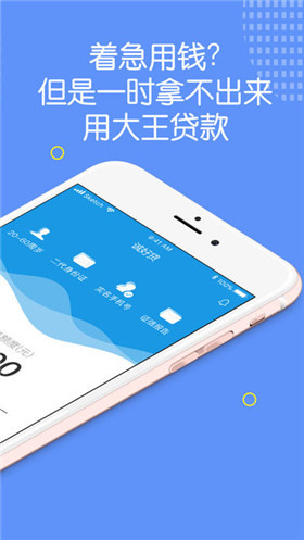 大王贷款app苹果版下载-大王贷款ios客户端下载v1.0.2图2