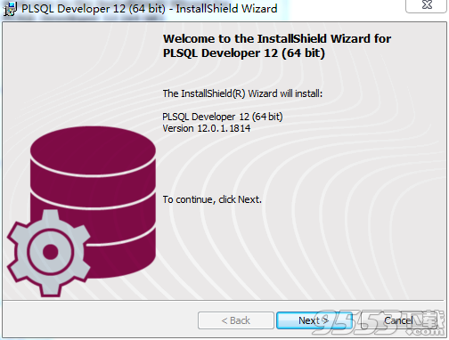 PLSQL developer 12.0注册机