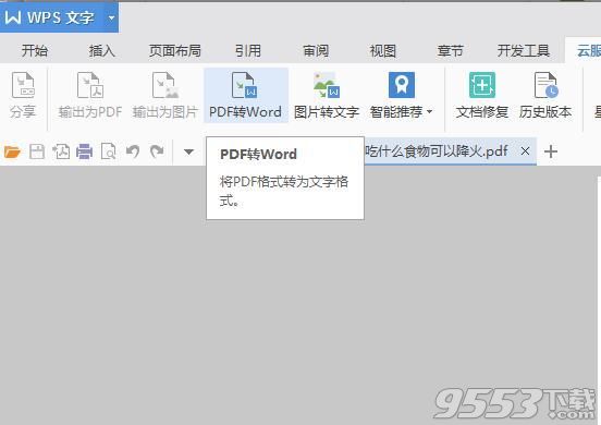 anybizsoft pdf to word 3.0.1破解版