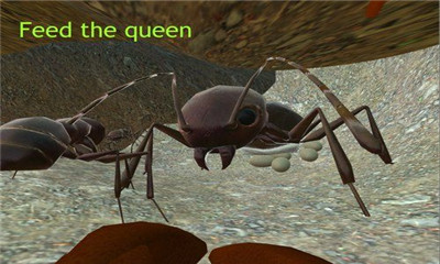 蚂蚁战争模拟器游戏