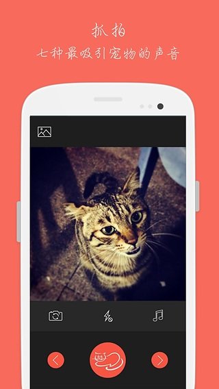 宠物萌拍相机app下载-萌拍相机安卓版下载v1.2.3图2