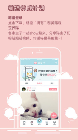 萌猫邦app安卓版截图3