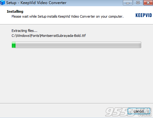 KeepVid Video Converter破解版