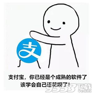 你们已经是成熟的软件了