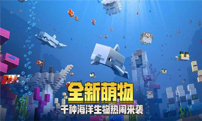 我的世界海洋之约手游ios