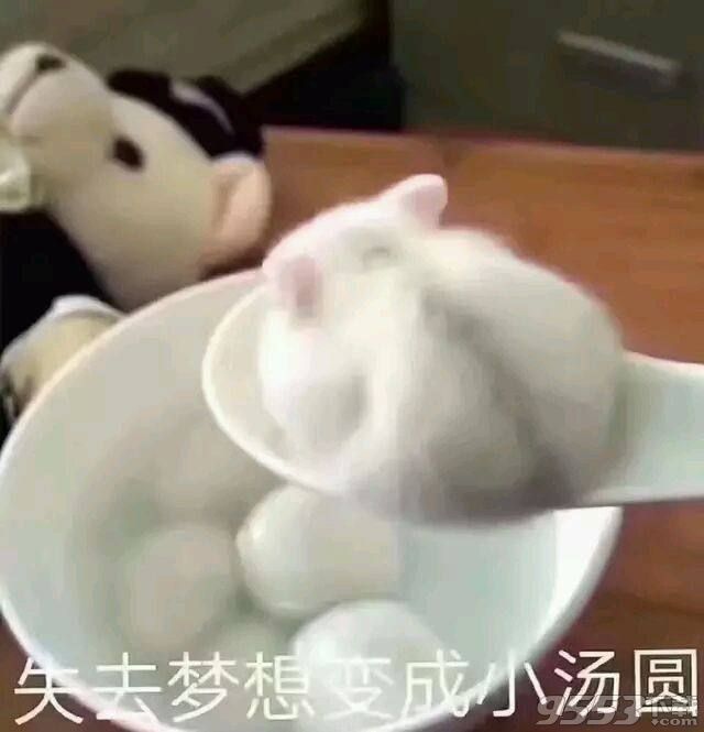 让我看看是谁在说我骚表情包