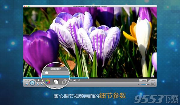 vGuruSoft Video Player for Mac中文版