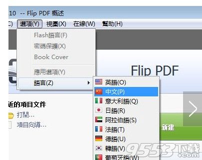 Flip PDF Professional